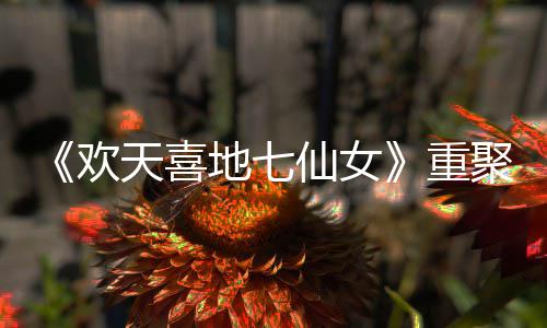 地七对王欢回牌王牌网友重直呼天喜仙女爷青聚