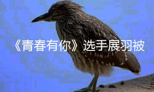 被曝暴事你末最展羽 展选手新回羽家应家暴件始春有青