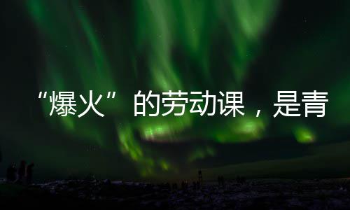爆的劳动课对话火会的热烈与社青年，是