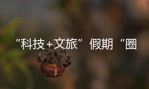 鹏城国游文旅座沉体验，一技假浸式场期圈粉全科客 赛博