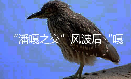带货后潘嘎之嘎子孟伟直播再被风波封谢交