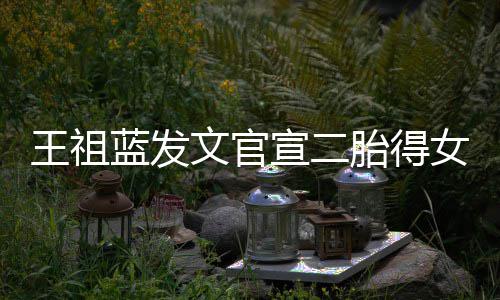 女女人王祖文官蓝发胎得宣二戏一台三个