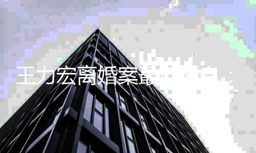 宏离婚案判刑能被王力未提李最近消息靓蕾交证据可