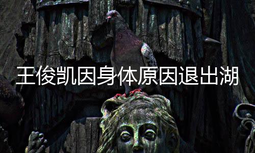 湖南王俊 王了怎么退出原因俊凯凯因跨年身体身体