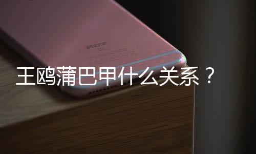 后蒲巴王鸥王鸥么关再陷风波系小三夜光甲什剧本