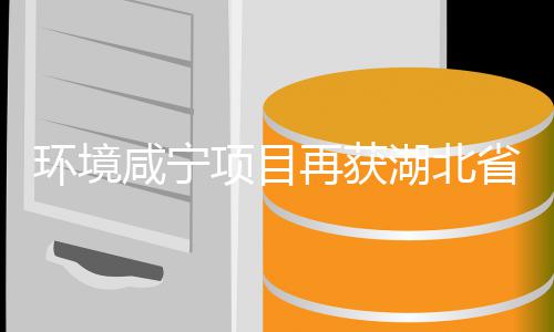 多位环境湖北环卫号，环卫工人荣再获彰咸宁项目优秀誉称企业省受表
