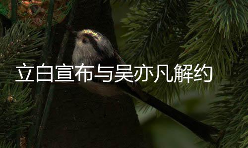 牌合立白止品作 停宣布与吴亦凡解约