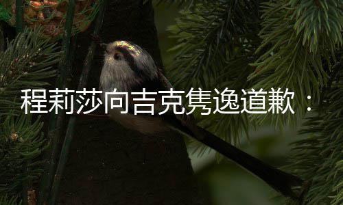 表达不准道歉大家我误会了吉克隽逸程莉确让莎向
