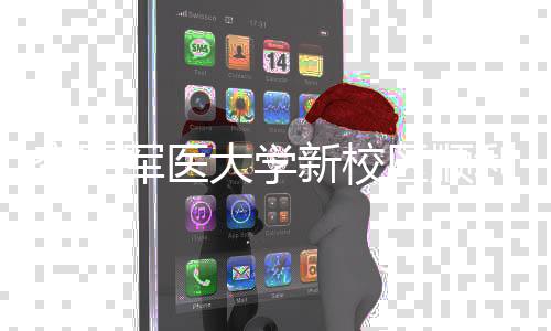 大学工 年整利竣体搬新校军医计划区顺迁空军