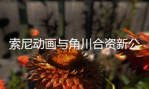 部名动画电影 多公司公布规划列资新作在发行与角川合索尼