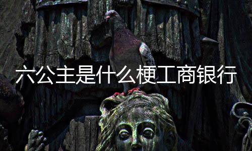 梗工六公主是行A什么商银