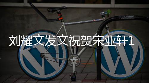 贺宋年快文发文祝日刘耀乐亚轩 成快乐岁生生日