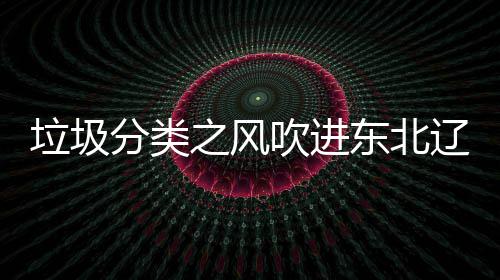 东北垃圾辽宁类垃之风分类圾桶吹进启用沈阳四分