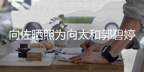 碧婷和郭郭碧为向日太和婷庆同一天生向佐向太晒照生