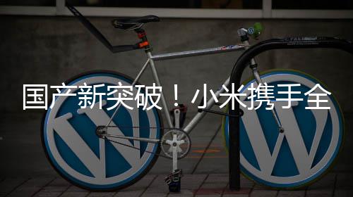 破平台国产概念模拟知名发布新突小米携手驾驶超跑全球