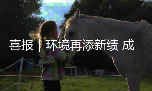 环中标添新服务喜报项目云南 亿境再绩 成功楚雄城市
