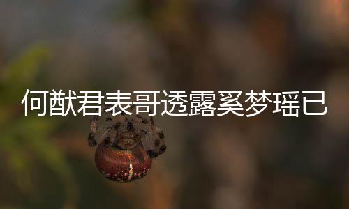宝宝何猷哥透光梦瑶名曝露奚胎 下二已产英文君表