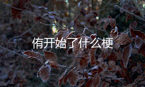 梗侑开始了什么