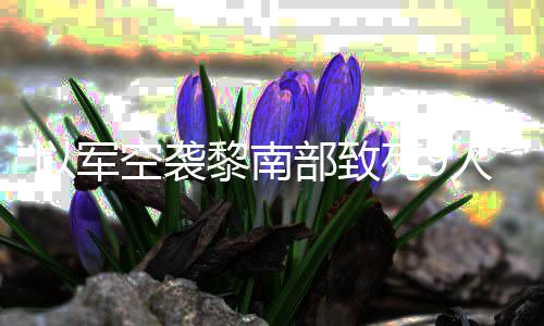部致党用火炮回击无人人 黎南真主以军机和空袭死9