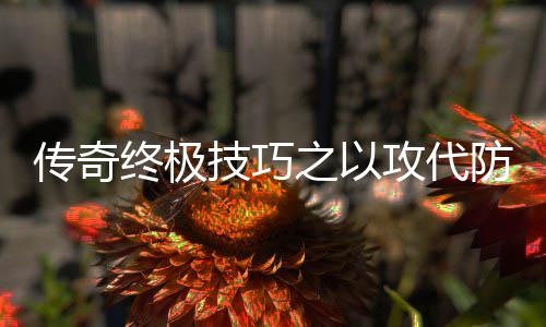 攻代略终极之以防战技巧传奇