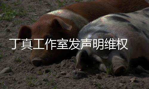 被包丁真婚出工作轨维权闻认已 否养传室发声明
