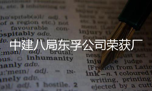 八局东孚公司公开管理民主荣获荣誉中建2项厂务