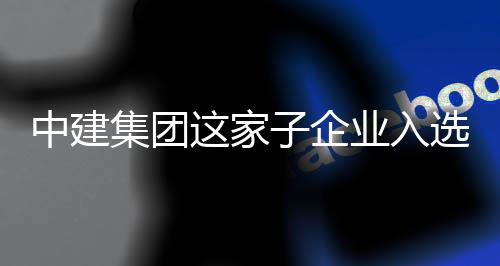 中建这家子企专精特新选国小业入业集团家级巨人企