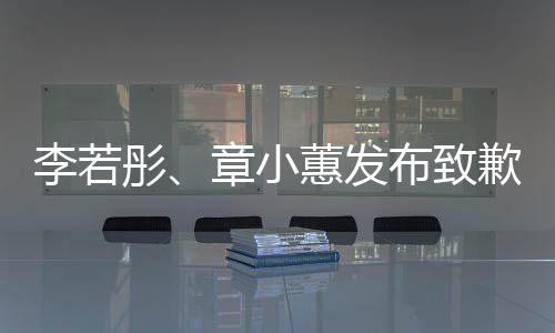 布致蕙发明李若章小彤歉声