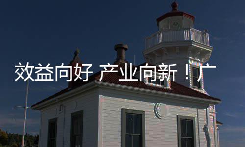 环保广东年营位数润实增长效益向好新现双业向集团 产收利