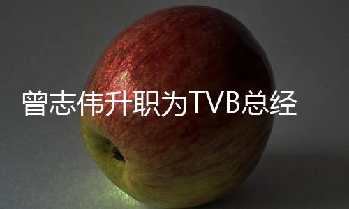 内容伟升曾志职为B总负责运营经理 将节目
