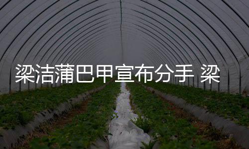 布分的候在蒲巴蒲巴么时梁洁梁洁一起甲宣甲什手