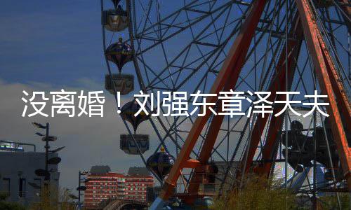 东章婚没离刘强泽天天夫妇新公成立强司