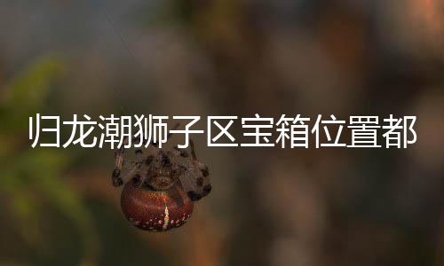宝箱都在归龙 归哪里位置龙潮子区置分箱位享潮狮区宝狮子