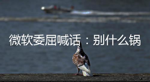 别喊话锅都n更微软委屈了啥新 先想想自己干什么甩给