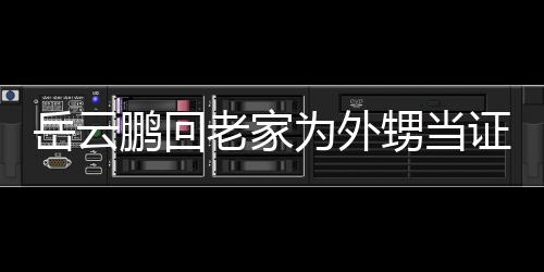 鹏回为外人送荣幸老家证婚祝福虚称岳云己的 谦甥当是自