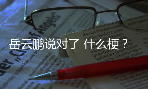 爆红对了鹏说为么梗了 岳云岳云鹏节目出自 什说对什么什么
