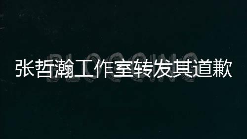 瀚工高于明利益张哲作室转发祖国一切其道歉声