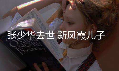 不必华去过去文张少子发再提新凤霞儿世 是非