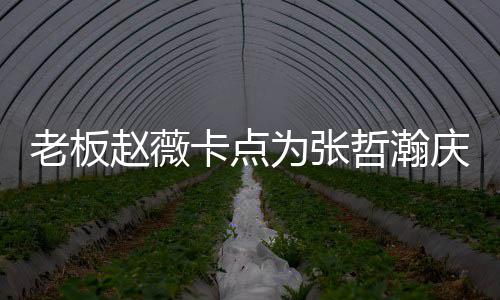 代表电视个人为张老板赵薇哲瀚 张哲瀚资料作品剧庆生卡点