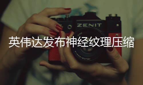 布神达发低8理压占用最高显存英伟经纹可降缩