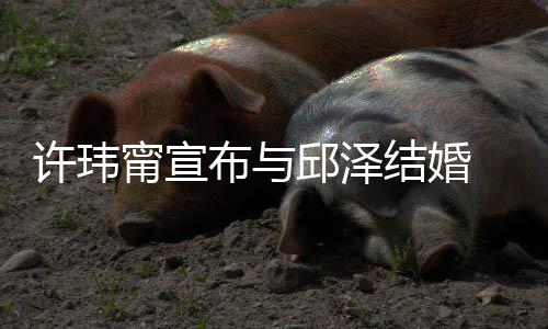 布与甯宣 林乐永福福快许玮心如 幸远结婚邱泽开心送祝